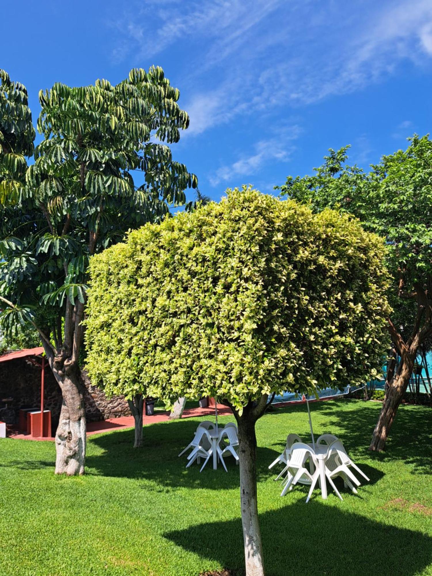 Hotel Quinta Paraiso Cocoyoc Exterior foto
